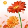 Бесплатная картинка для аватарки из категории Цветы #726