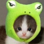 Оригінальна картинка для аватарки из категории Коти та кішки #3435