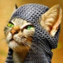 Красивая картинка для аватарки из категории Коты и кошки #3471