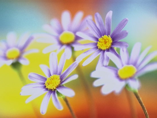 Природа