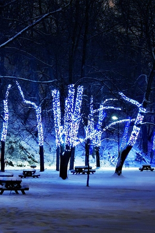 Новий рік