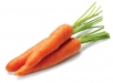Влияние удобрений на качество моркови